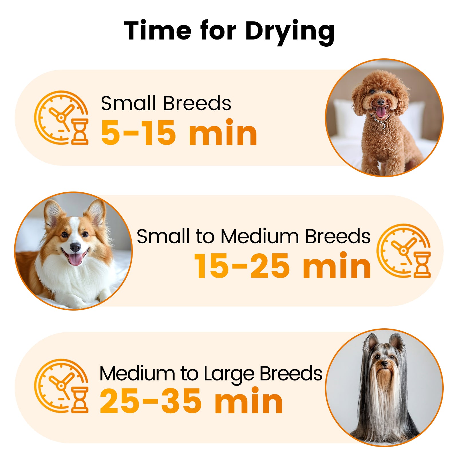 AIRROBO Dog Blower Pet Hair Dryer with Adjustable Speed Temperature, Large Dog Hair Grooming Blower after Bath Swimming, Heating Blower with 4 Nozzles