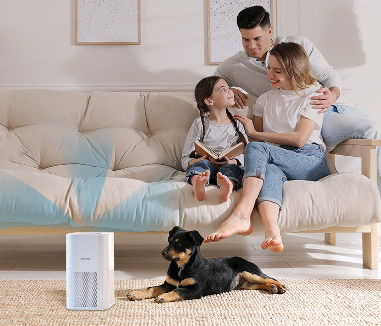 Air Purifier  AIRROBO AR400