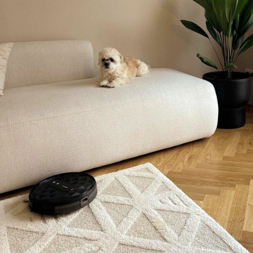After my herniated disc, little helpers are now needed... a new family member has already moved in, our vacuum robot from AIRROBO. With three floors, this is a huge help.